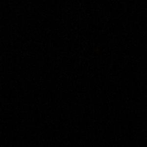 Meet your Posher, Oscar